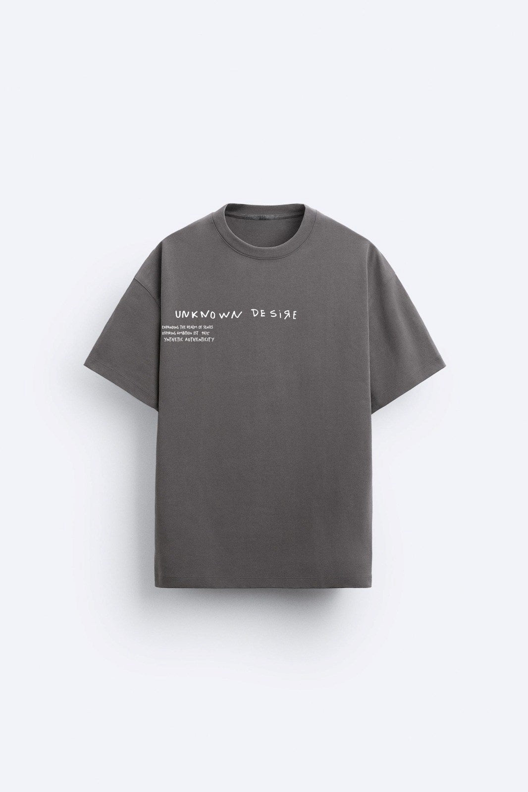 Bisiklet Yaka Unknown Desire Baskılı Oversize Füme Erkek T-shirt