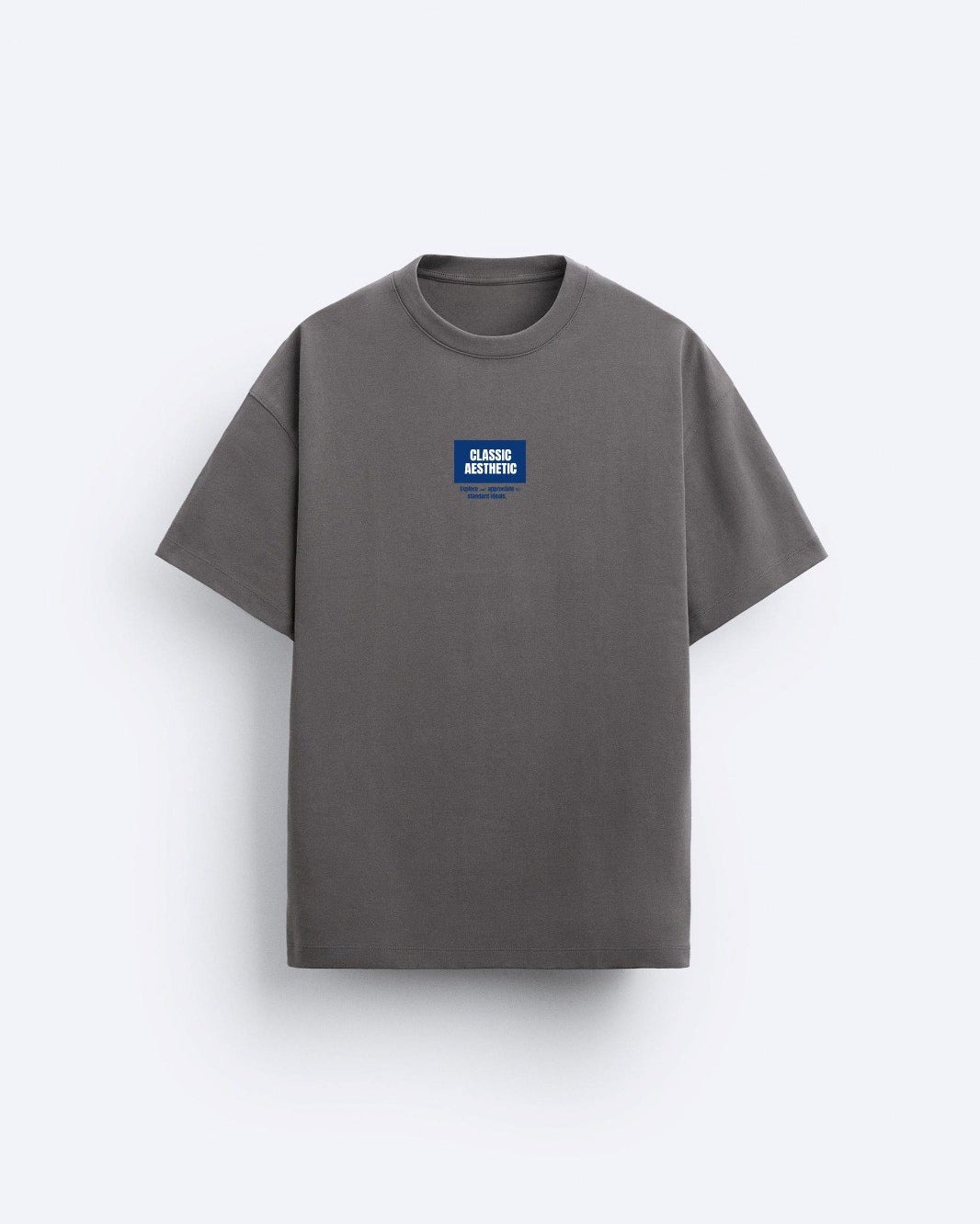 Classıc Aesthetic Yazı Baskılı Füme Oversize Erkek T-shirt