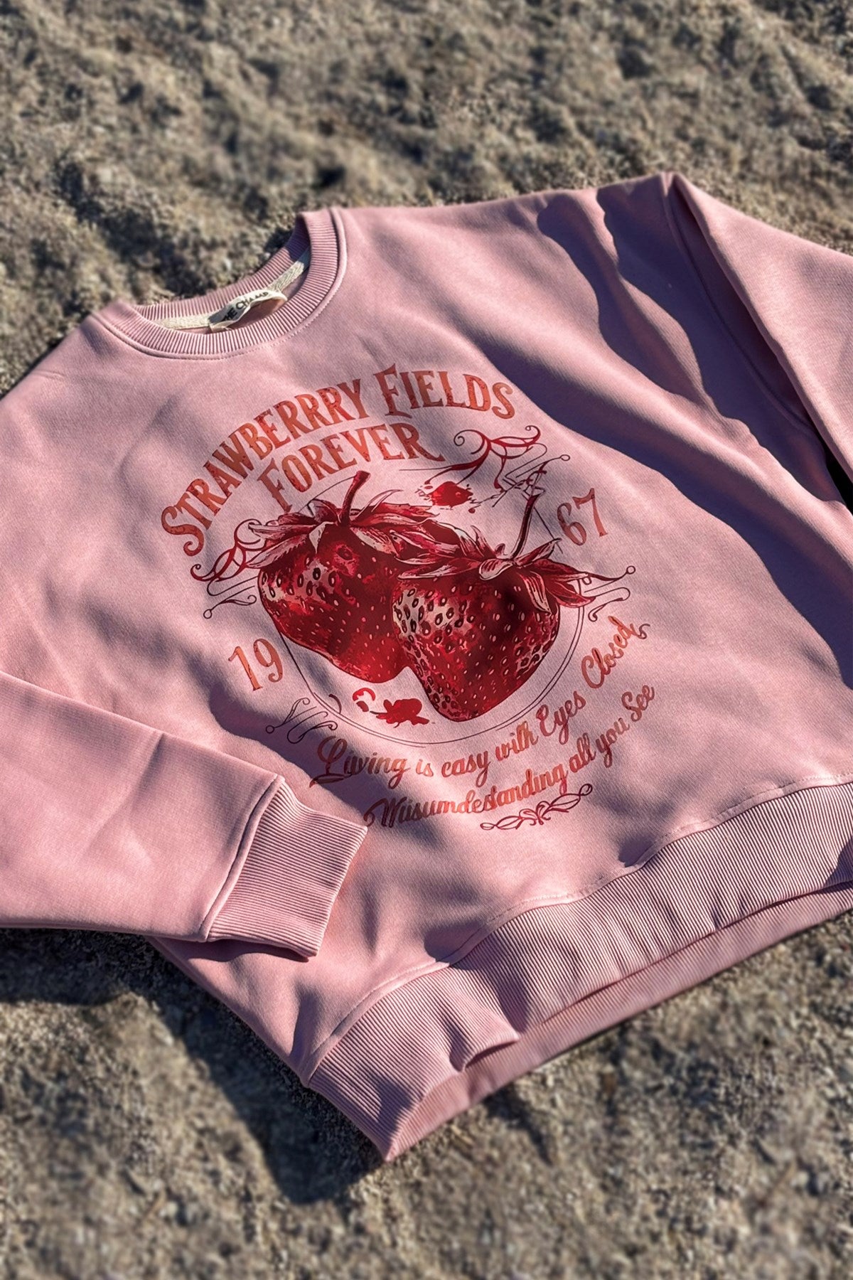 Kadın Oversize Sweatshirt Strawberry Fields Pembe – Bisiklet Yaka, 3 İplik Şardonlu Polar