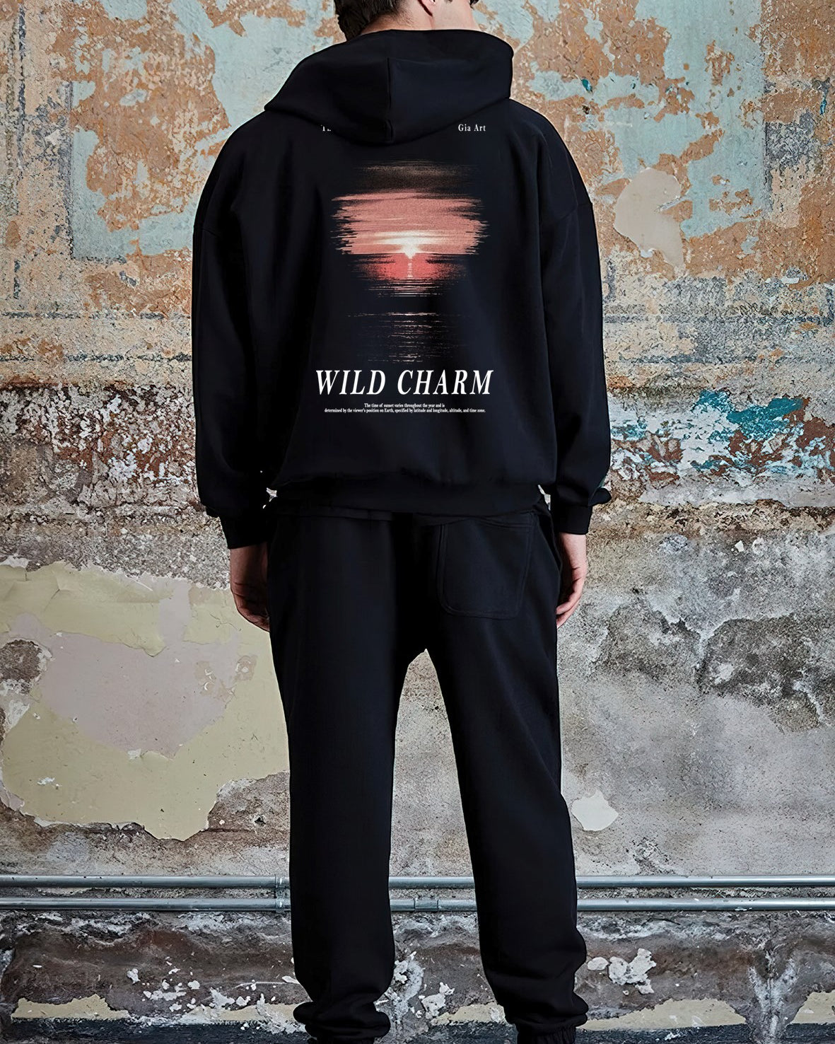 Kapüşonlu İçi Polar Wıld Charm Baskılı Siyah Unisex Hoodie Sweatshirt