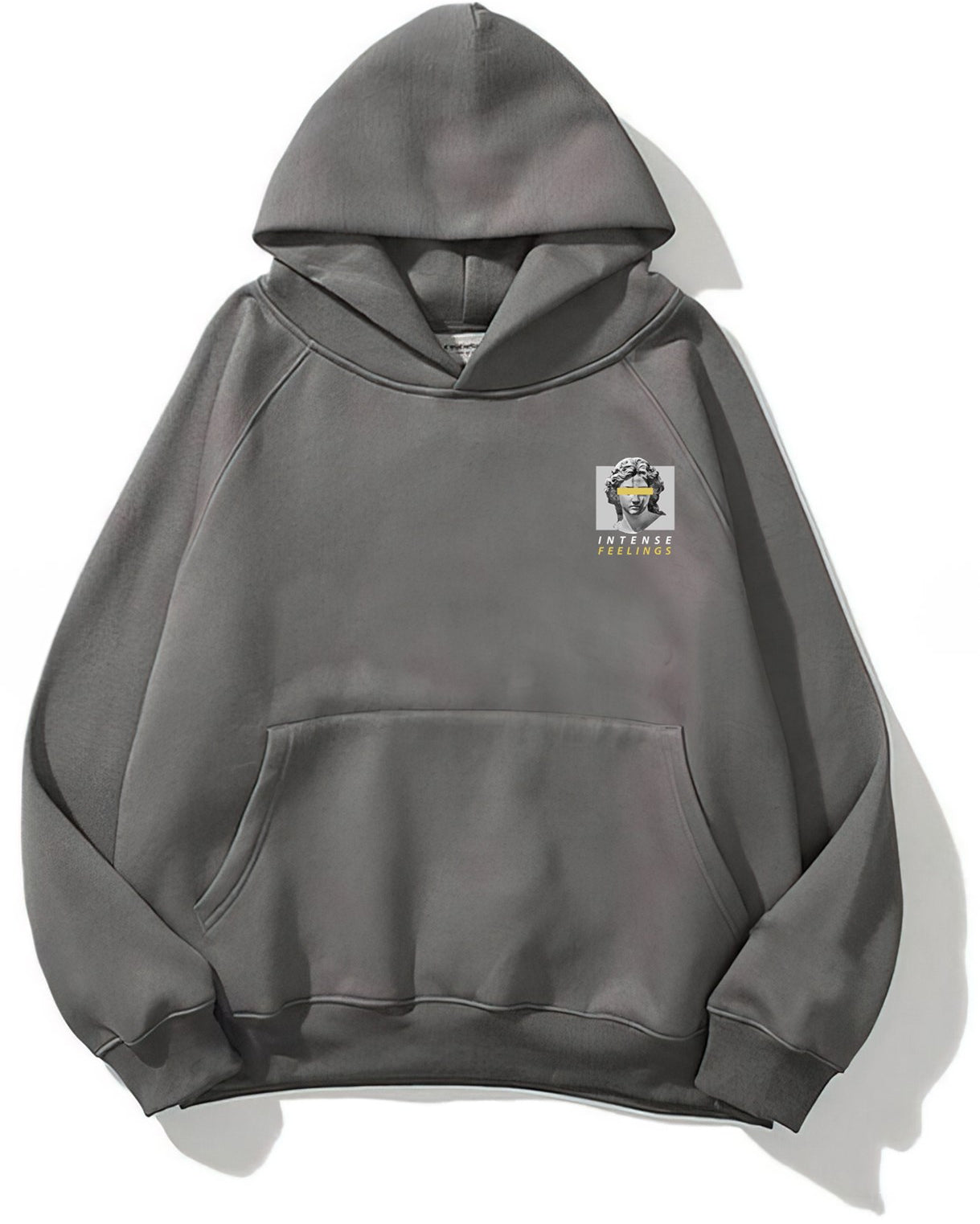 Kapüşonlu İçi Polar Intense Feelings Yazılı Heykel Baskılı Füme Unisex Hoodie Sweatshirt